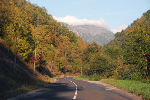 Scenic route D118, Forêt de Gesse, Pyrénées Orientales