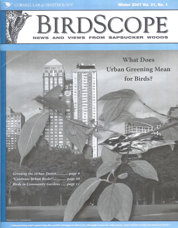 Birdscope (USA) Winter 2007