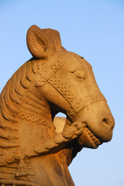 Horse, Siddhi Lakshmi Temple, Durbar Square, Bhaktapur