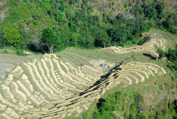 Terraced fields seen from the cable car, Manakamana