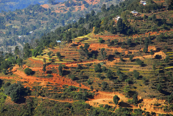 Terraced fields, Manakamana