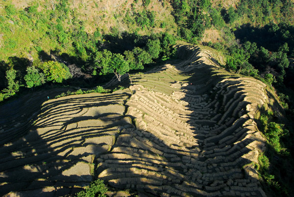 Terraced fields seen from the cable car, Manakamana