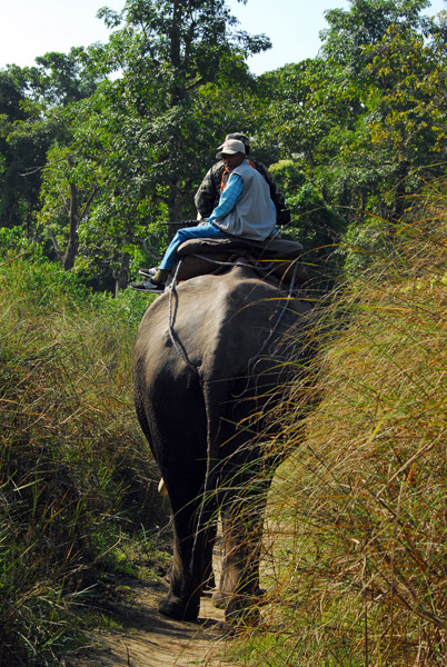 Anti-poaching patrol, Chitwan National Park