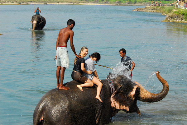 Elephant bathing time on the Sauraha riverfront