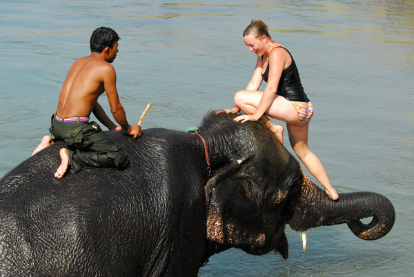 Elephant bathing time on the Sauraha riverfront