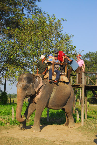 Elephant boarding platform, Sauraha