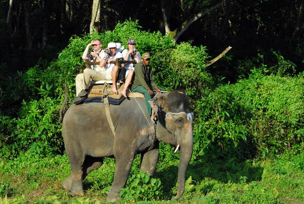 Our elephant safari remained on the north side of the Rapti River in the Chitwan Buffer Zone where private elephants are allowed