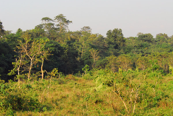 Chitwan National Park (buffer zone) Sauraha