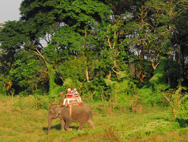 Elephant safari through the Chitwan National Park buffer zone adjacent to Sauraha