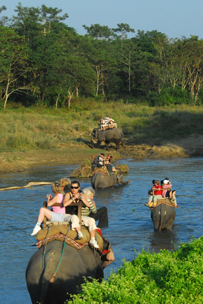 Elephant safari fording a river, Chitwan