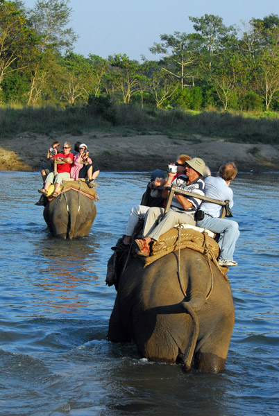 Elephant safari fording a river, Chitwan