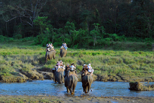 Elephant back safari, Chitwan National Park (buffer zone)