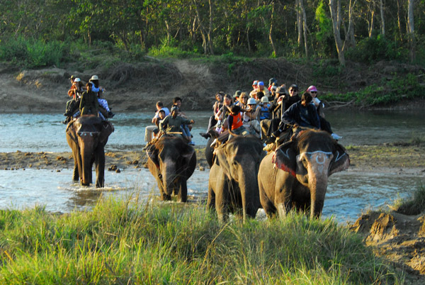 Elephant back safari, Chitwan National Park (buffer zone)