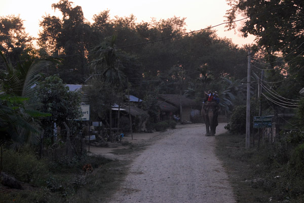 The road back to the village of Sauraha