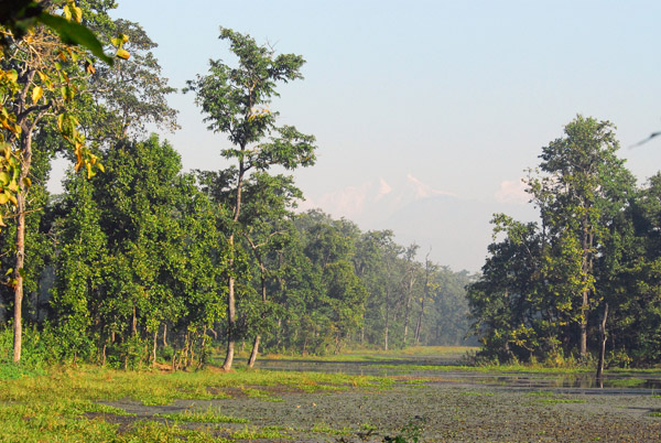 Bis Hajaar Tal - 20,000 Lakes, Chitwan National Park (buffer zone)