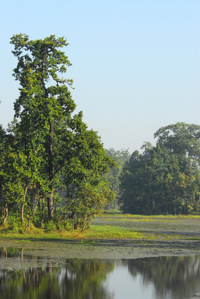 Bis Hajaar Tal - 20,000 Lakes, Chitwan
