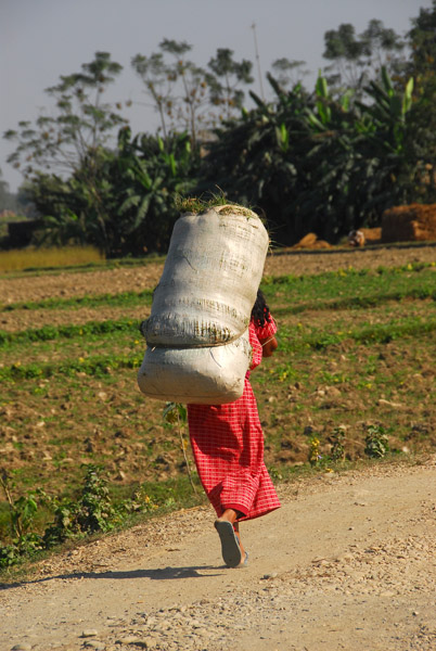 Woman carrying a large load, Central Terai