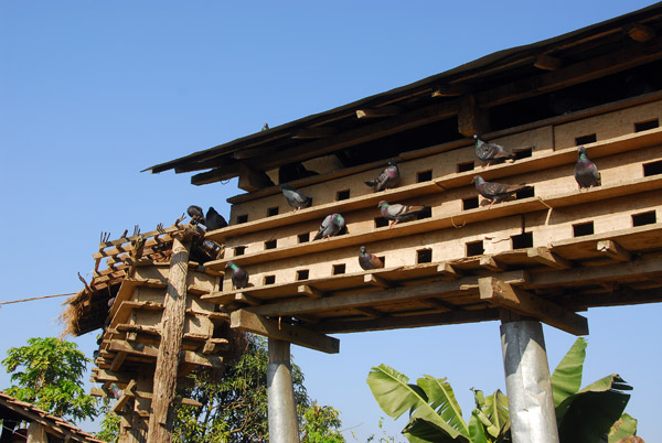 Pigeon coop, Thamal Cultural Village