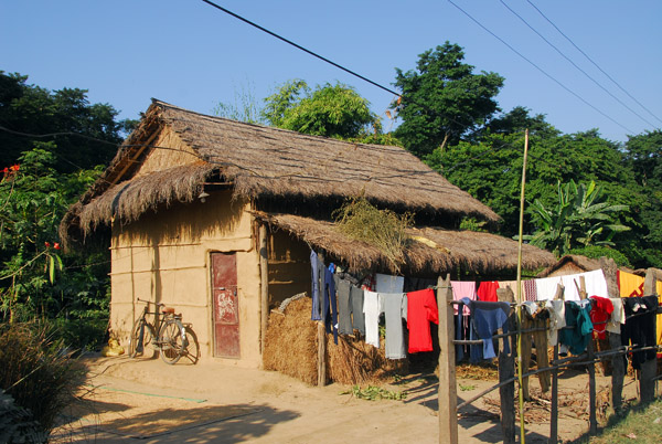 Small thatched house with the laundry out to dry, Central Terai