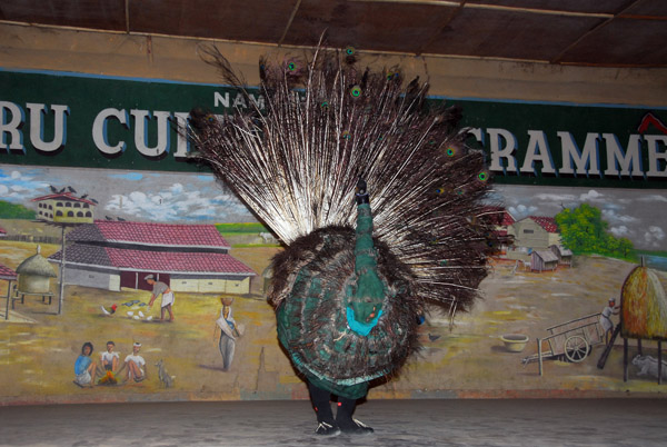 Peacock dance, Tharu Culture Programme, Sauraha, Central Terai