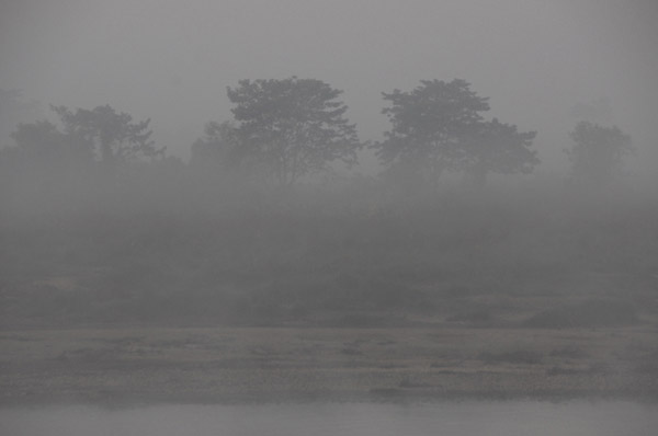 Early morning mist outside Sauraha