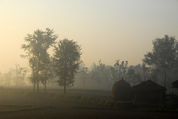 Early morning outside Sauraha, Central Terai