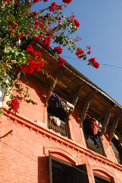 Flowers and bricks, Bandipur