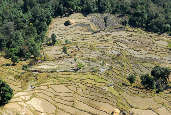 Soaring over the terraced fields covering the hillside of Sarangkot, Pokhara