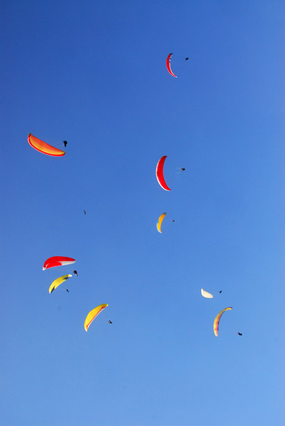 Looking up at the rest of the paragliders