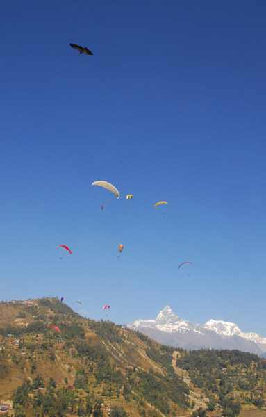 Paragliding, Sarangkot, Nepal