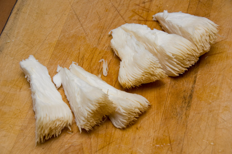 Hericium erinaceus