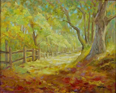 3rd Prize - Non-Pro