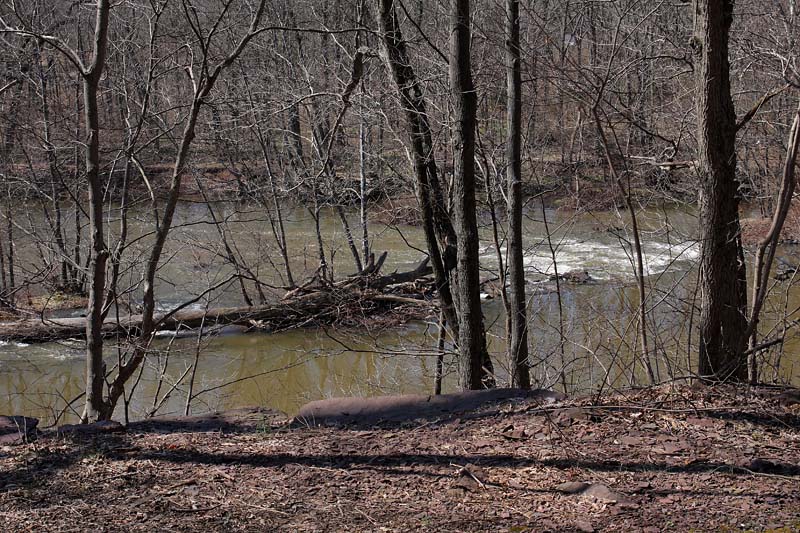 The Perky - Spring Thaw