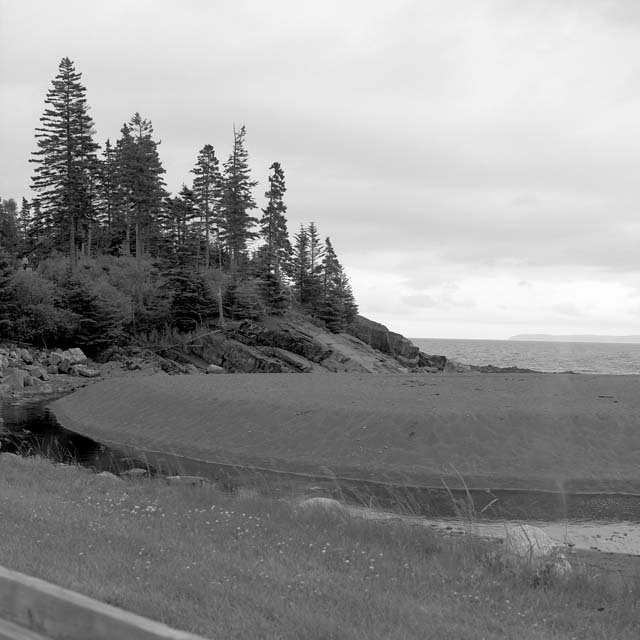 Herring Cove