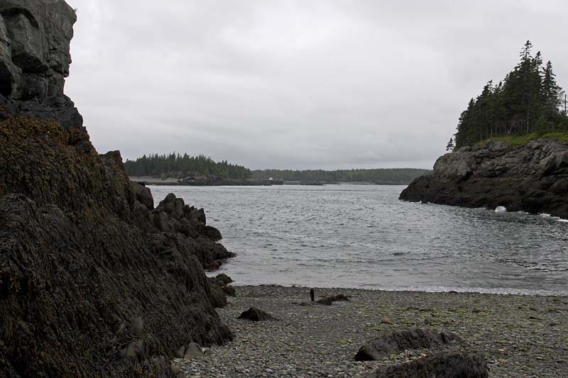 At Low Tide