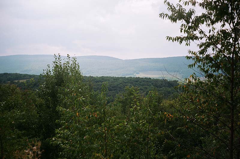 Overlook View