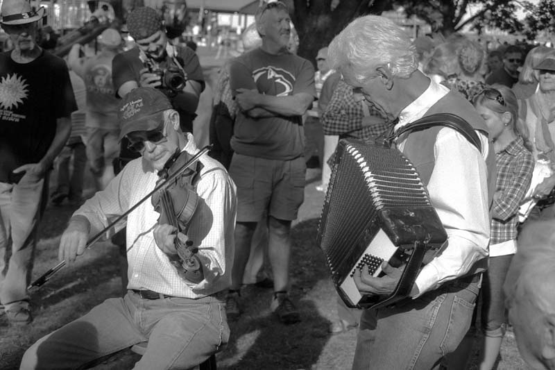 Accordion & Fiddle