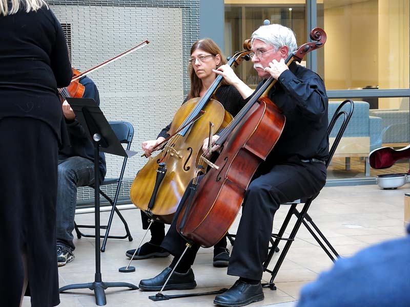 Cellos