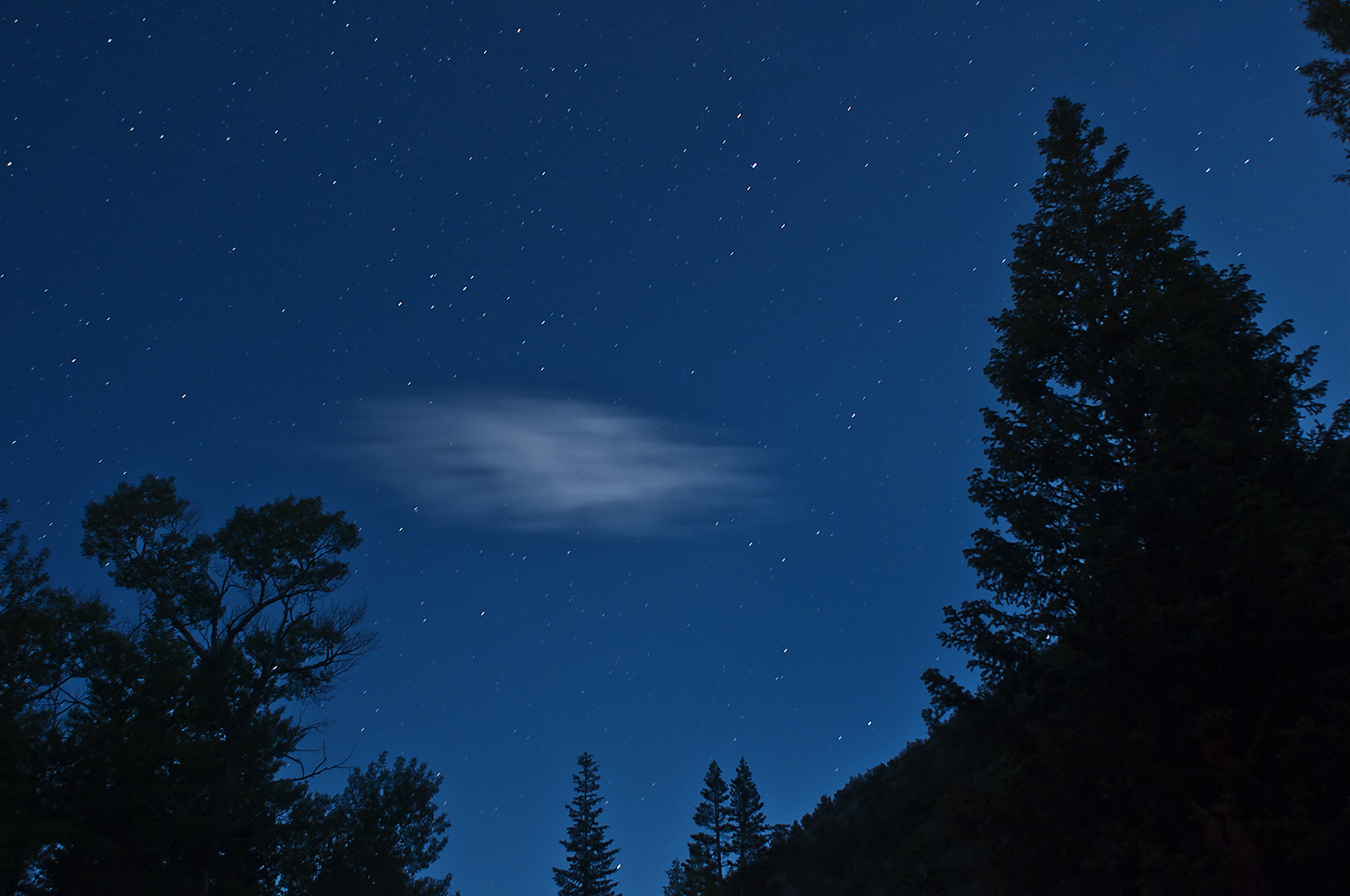 30 seconds Cloud and Forest Silhouette