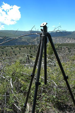Joe Tripod in the brush at Gilluly Curve