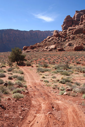 Follow the red dirt road to Jackson Butte (upper right)