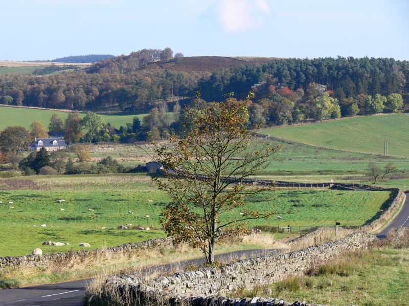 026 Otterburn.