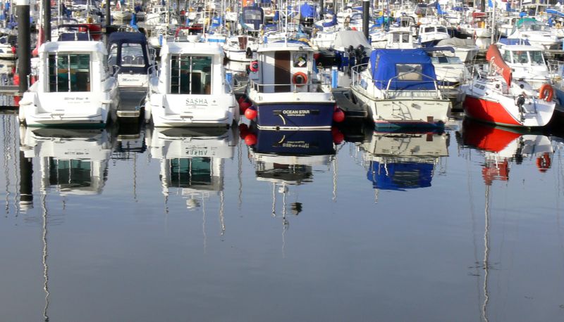 Royal Quays marina.