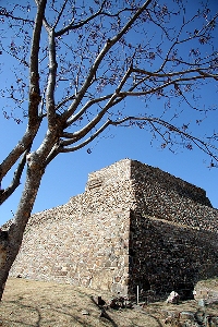 o3/93/684593/1/111429495.JCMUd3KD.Monte_Alban_IMG_5211_edit.JPG