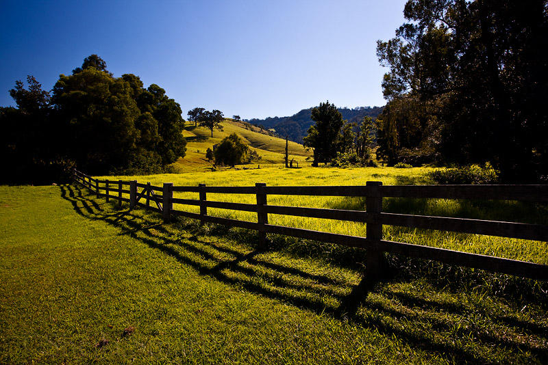 Fence with shadow at Berry