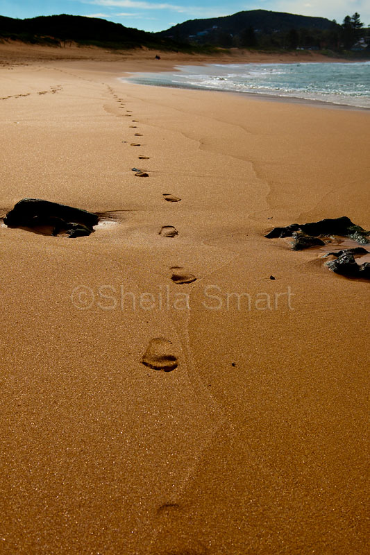 Footprints at Avalon Beach