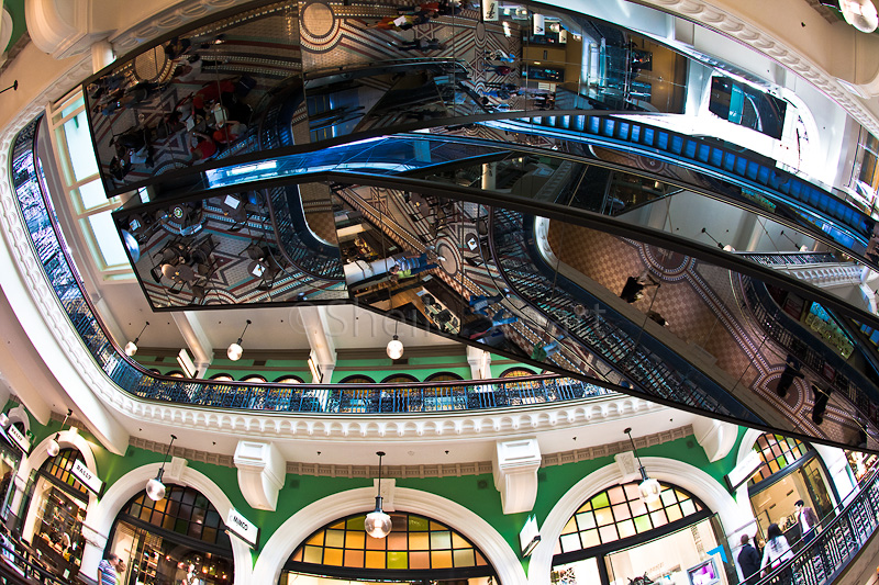 QVB reflection in escalator 