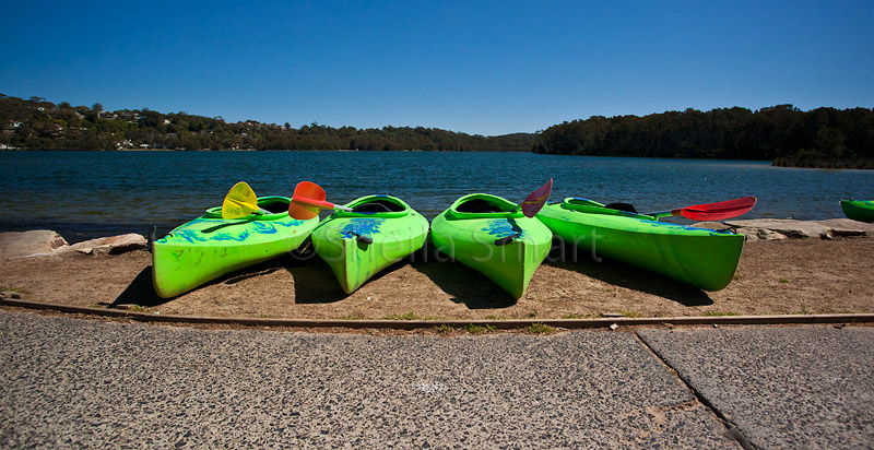 Narrabeen kayaks