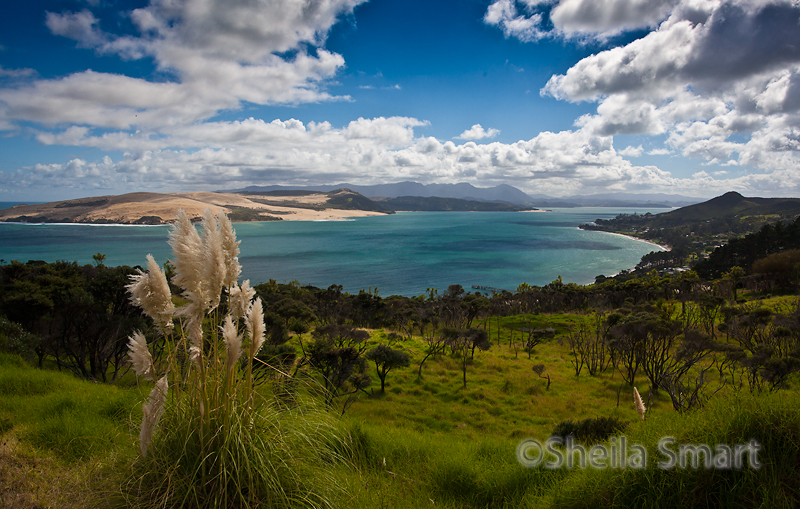 Hokianga Harbour, New Zealand viewed from Omapere