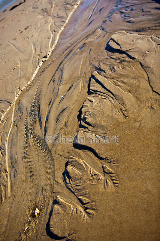 Patterns in sand 